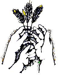 Pencil sketch of three hands, a male, a female, and a child, holding a small sheaf of wheat